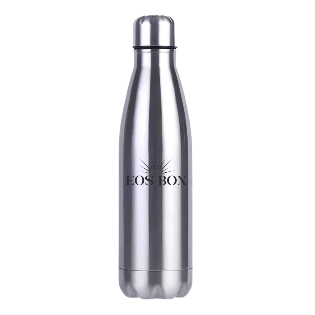 Branded Stainless Steel Water Bottle (500ml)