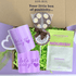 Sweet Treat | Goodie Box - EOS BOX