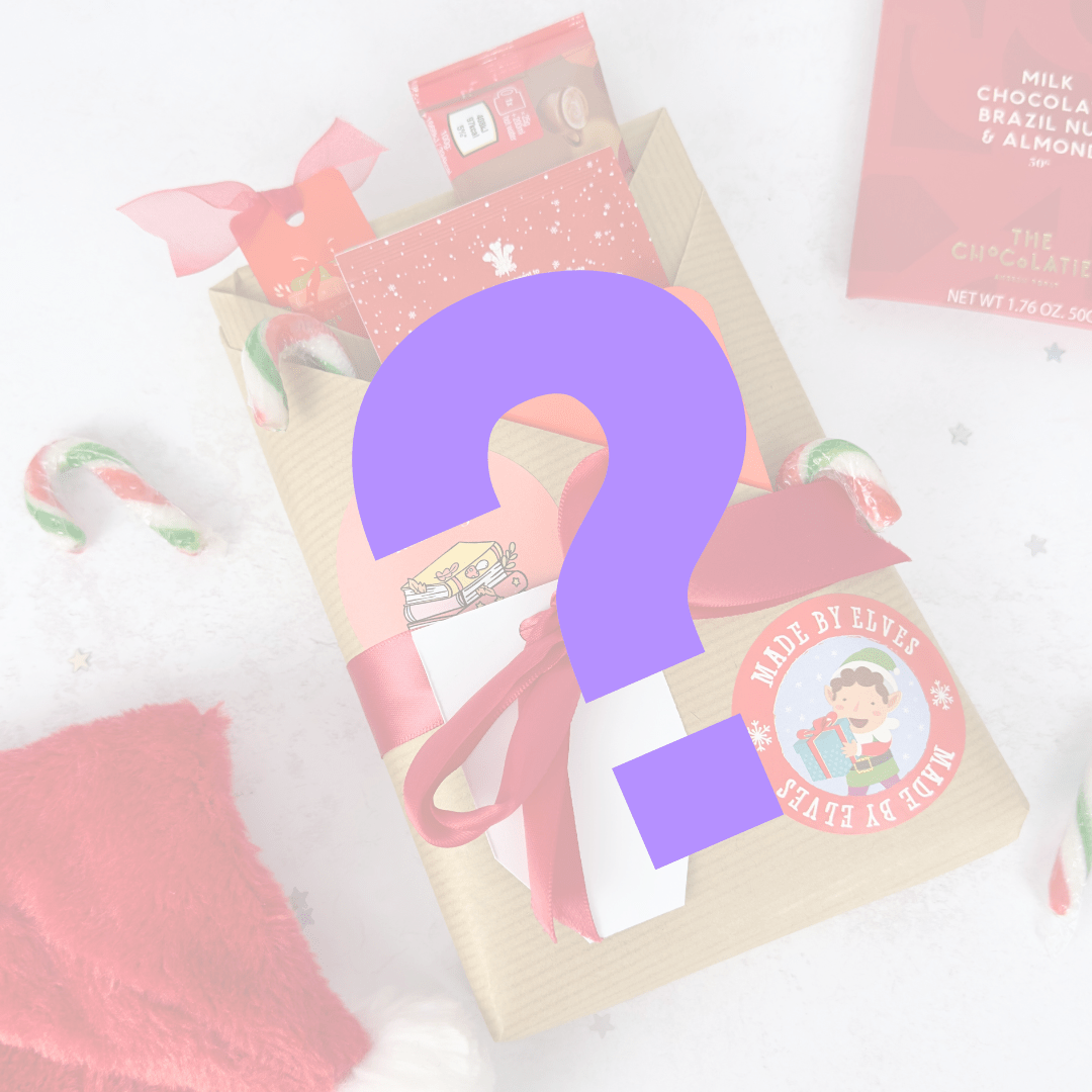 Christmas Surprise Gift Wrapped Book - EOS BOX